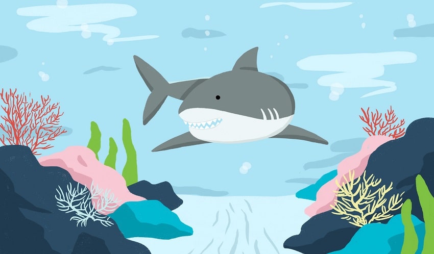 Interesting Facts about Sharks for Elementary Level Kids